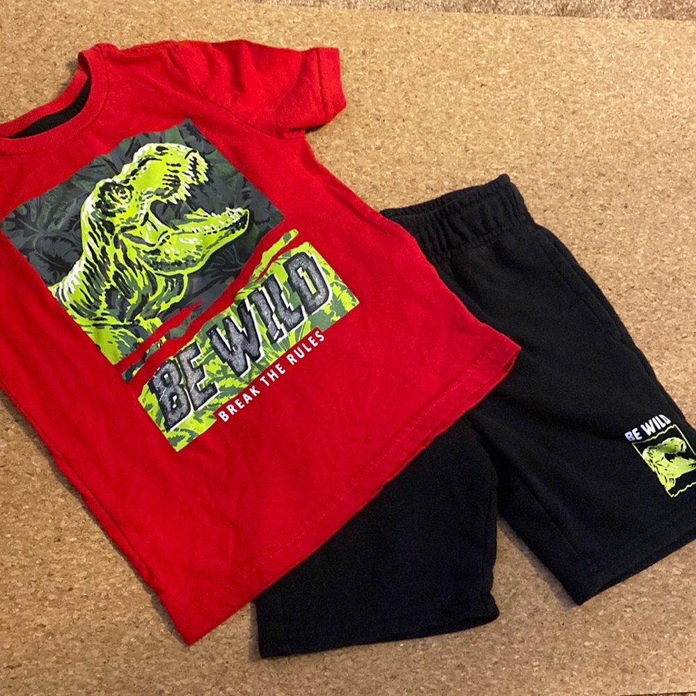 Be wild dinosaur shirt and tee set
